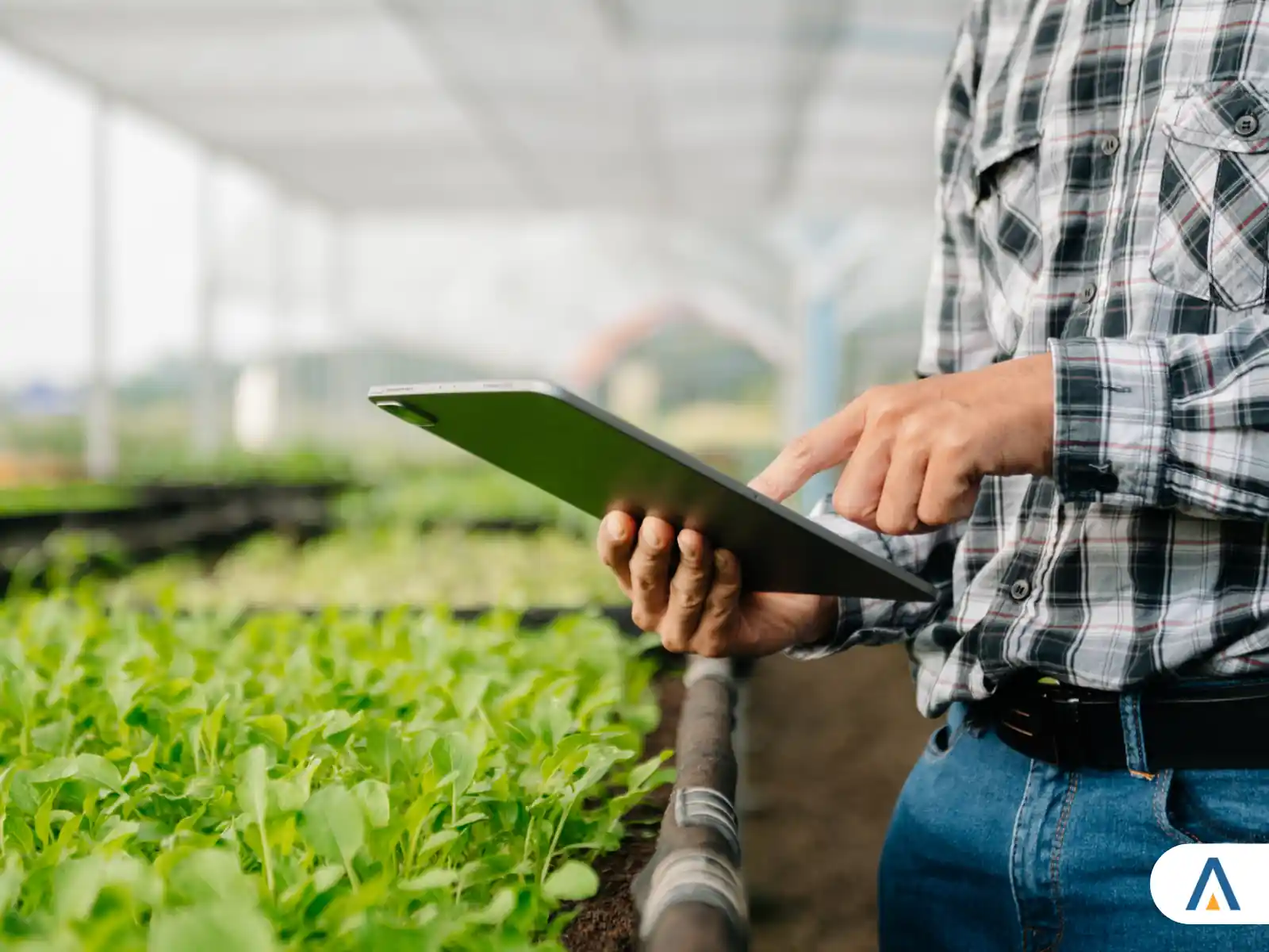 Agronomia e conhecimento técnico aplicado ao campo